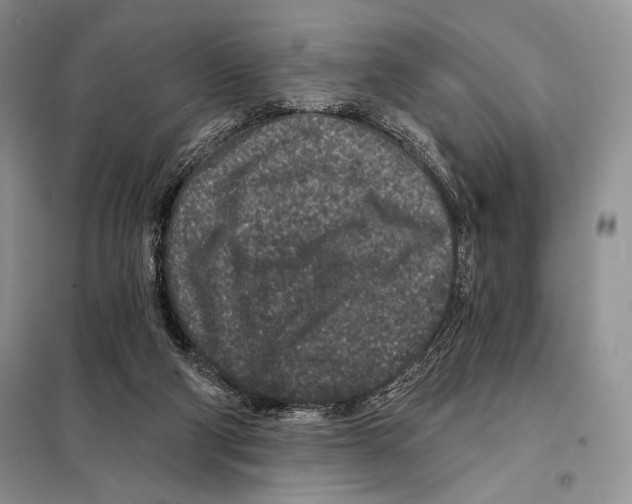 X0000098070114200805021007