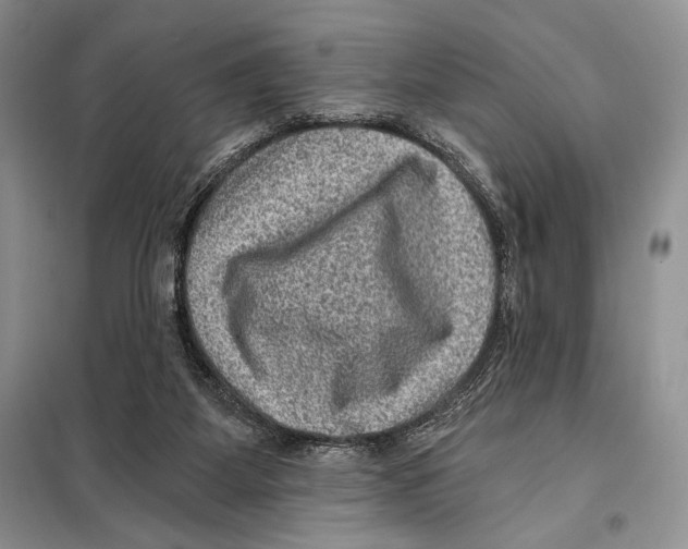 X0000098070115200805021007