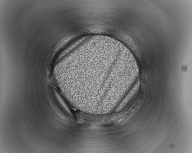 X0000098070116200805021007