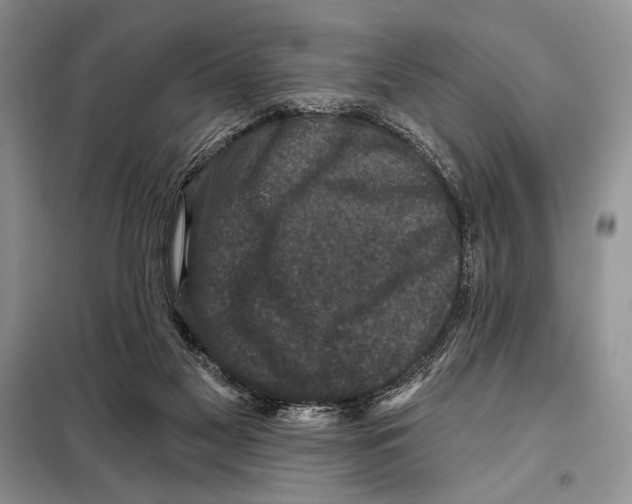 X0000098070117200805021007