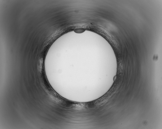 X0000098070118200805021007