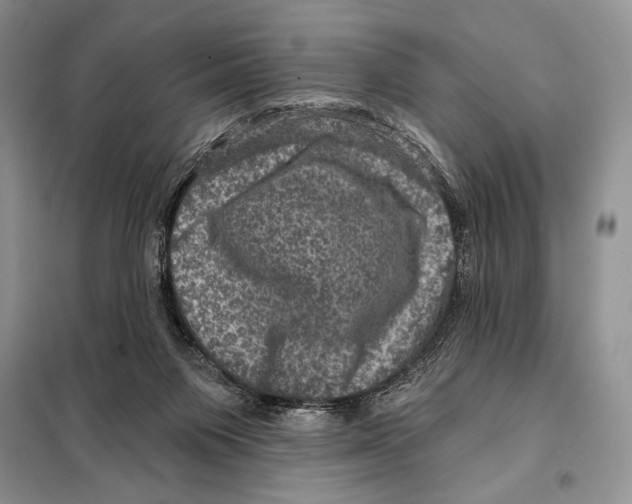 X0000098070119200805021007