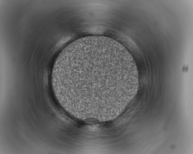 X0000098070120200805021007