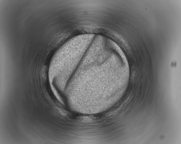 X0000098070121200805021007