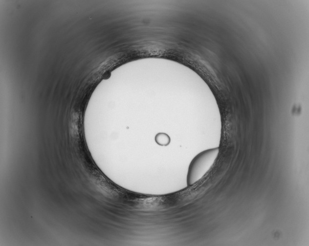 X0000098070122200805021007