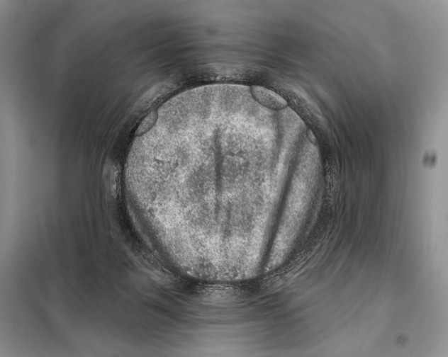 X0000098070123200805021007