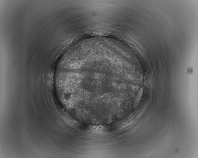 X0000098070127200805021007