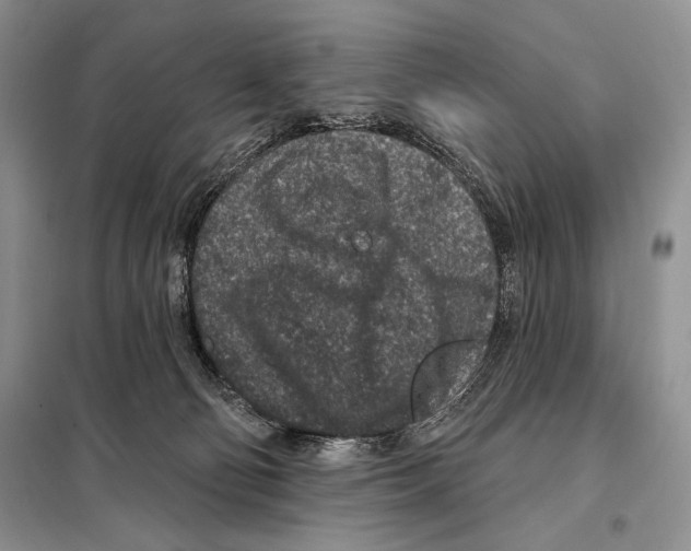 X0000098070130200805021007