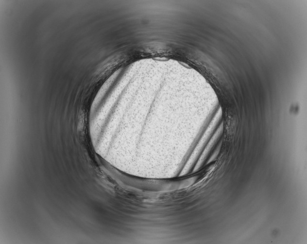 X0000098070132200805021007