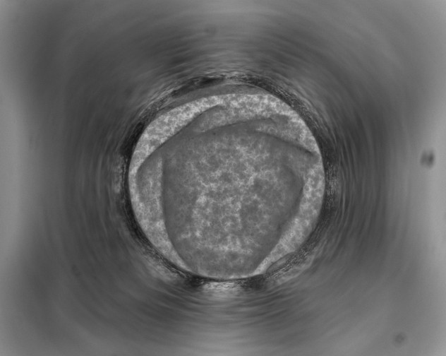 X0000098070133200805021007