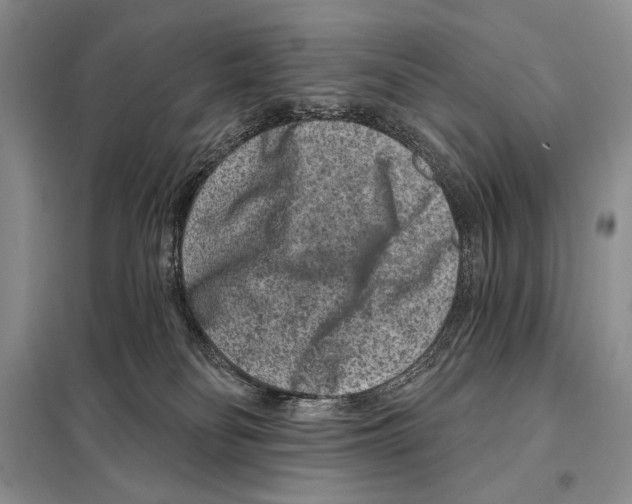 X0000098070134200805021007