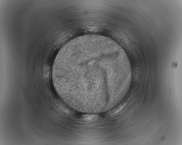 X0000098070135200805021006