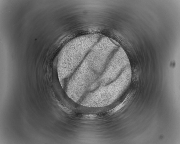 X0000098070140200805021006