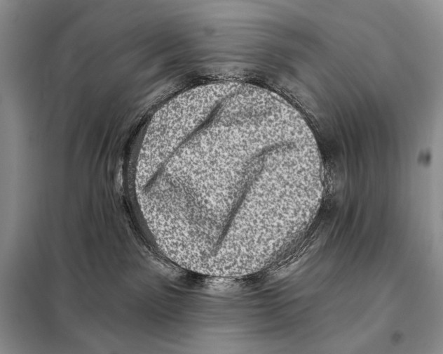 X0000098070141200805021006