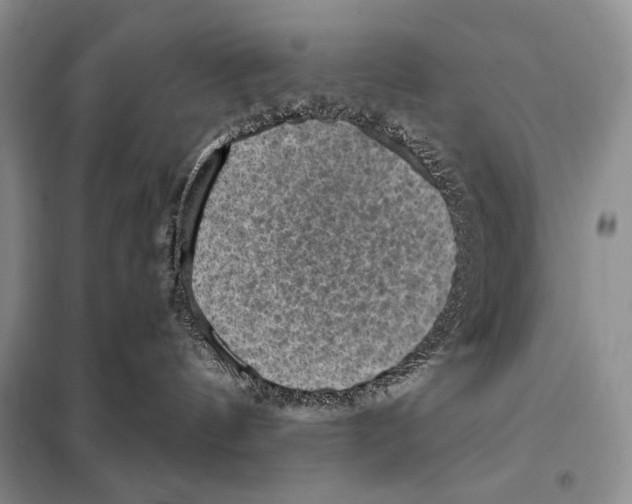 X0000098070144200805021006