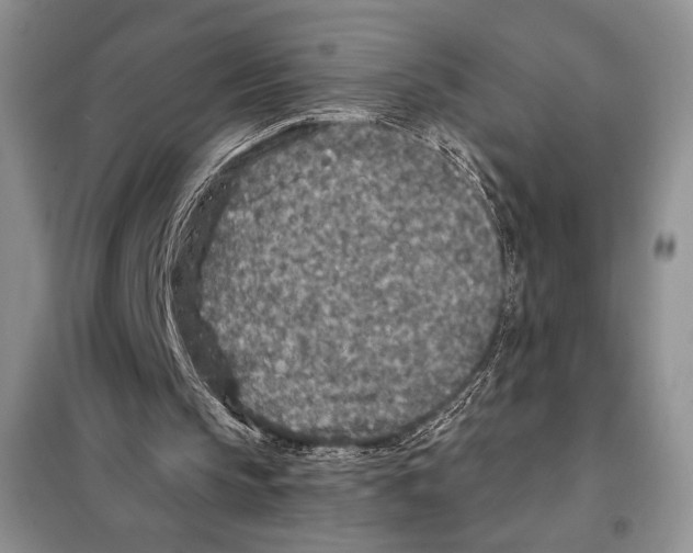 X0000098070145200805021006