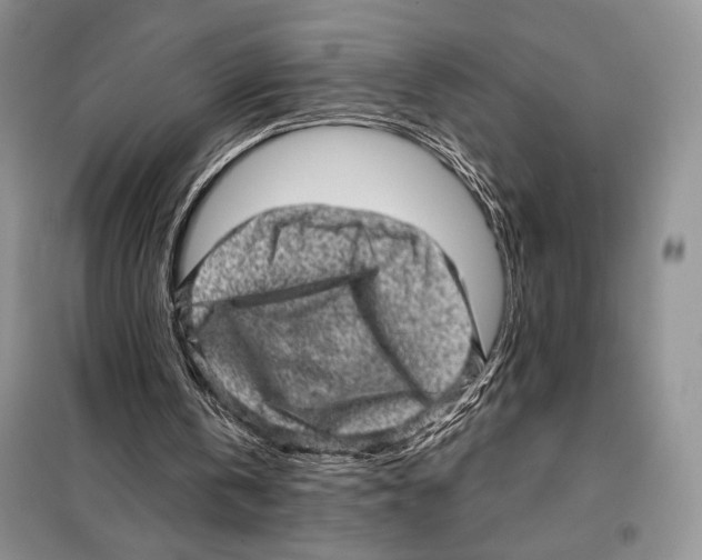 X0000098070146200805021006