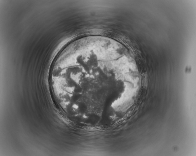 X0000098070147200805021006