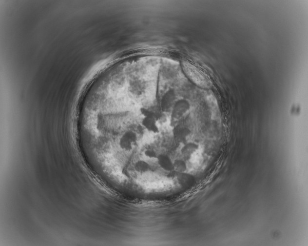 X0000098070149200805021006