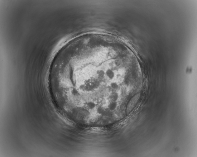 X0000098070151200805021006