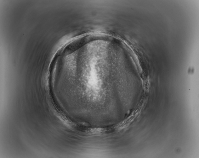 X0000098070152200805021006