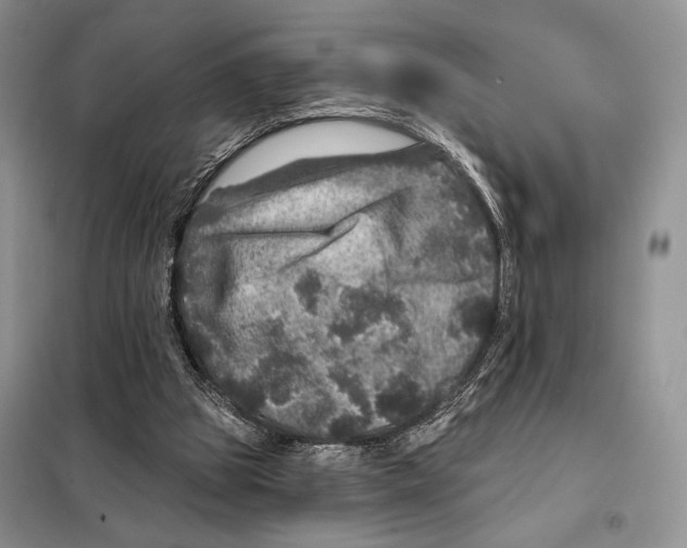 X0000098070153200805021006