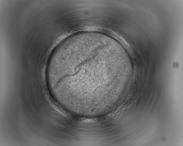 X0000098070155200805021006