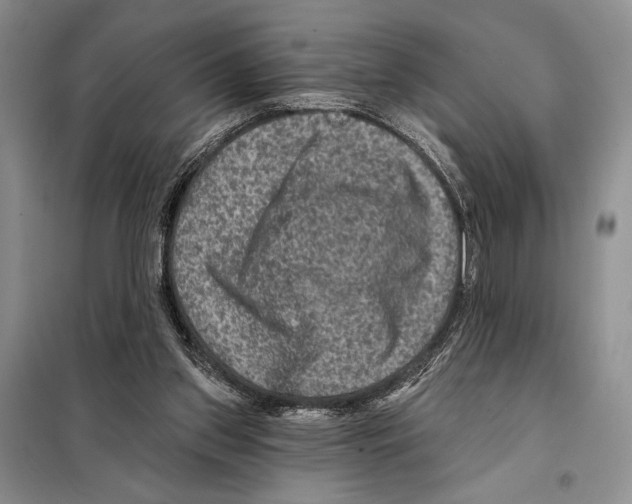 X0000098070157200805021006