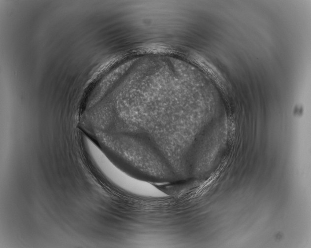 X0000098070158200805021006