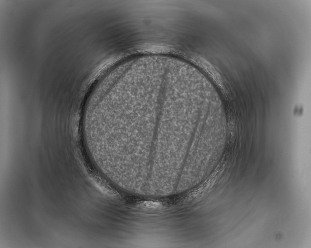 X0000098070159200805021006