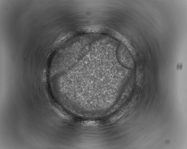 X0000098070161200805021006