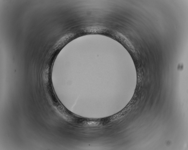 X0000098070163200805021006