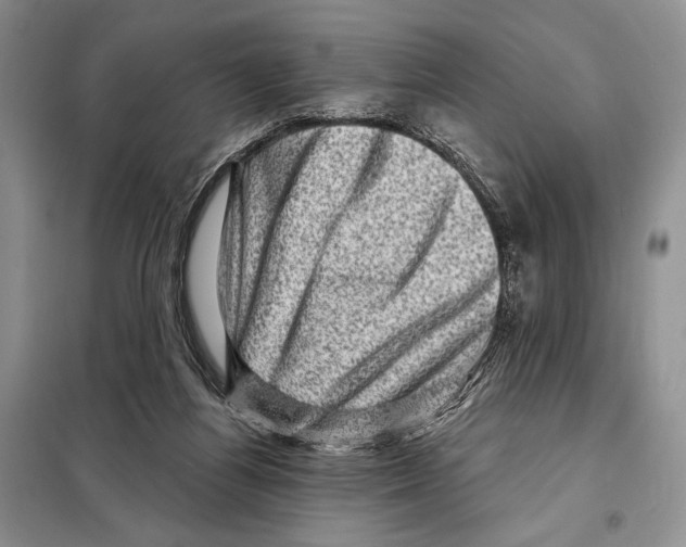 X0000098070164200805021006