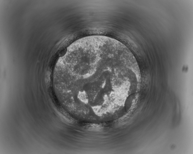 X0000098070166200805021006