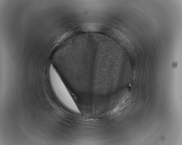 X0000098070168200805021006