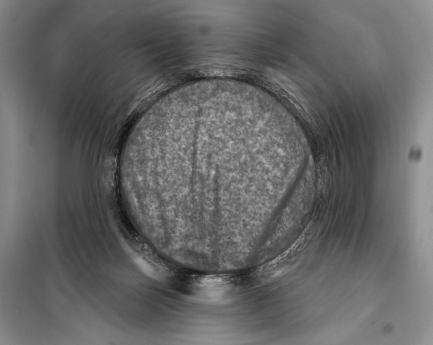 X0000098070171200805021006