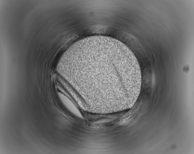 X0000098070172200805021006