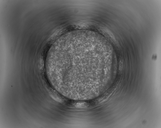 X0000098070173200805021006