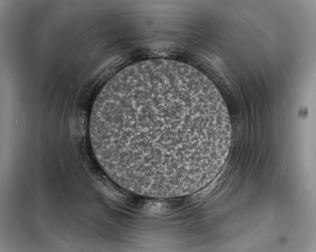 X0000098070174200805021006