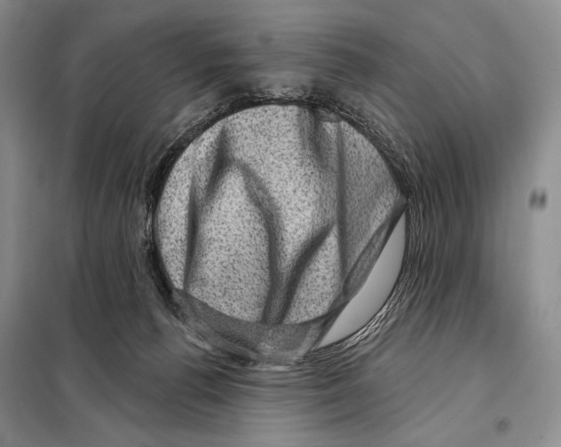 X0000098070176200805021006