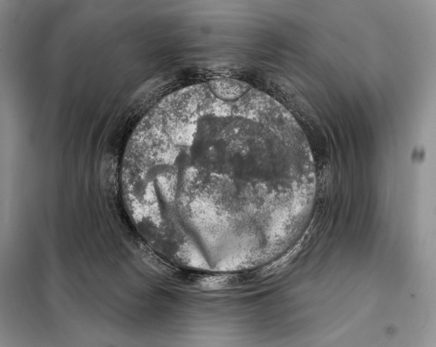 X0000098070178200805021006