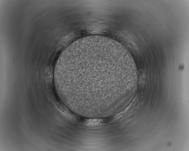 X0000098070179200805021006