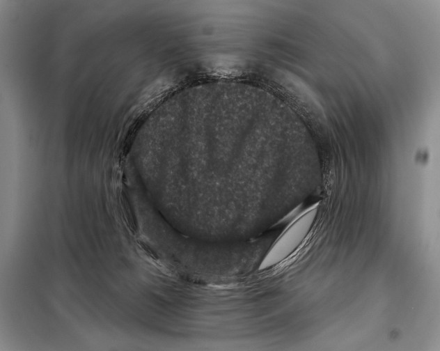 X0000098070180200805021006