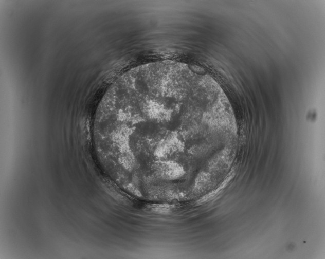 X0000098070182200805021006