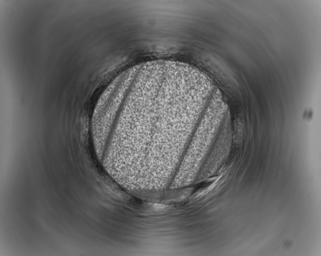 X0000098070184200805021006