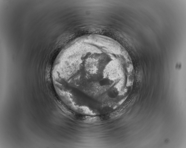 X0000098070185200805021006