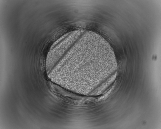 X0000098070186200805021006