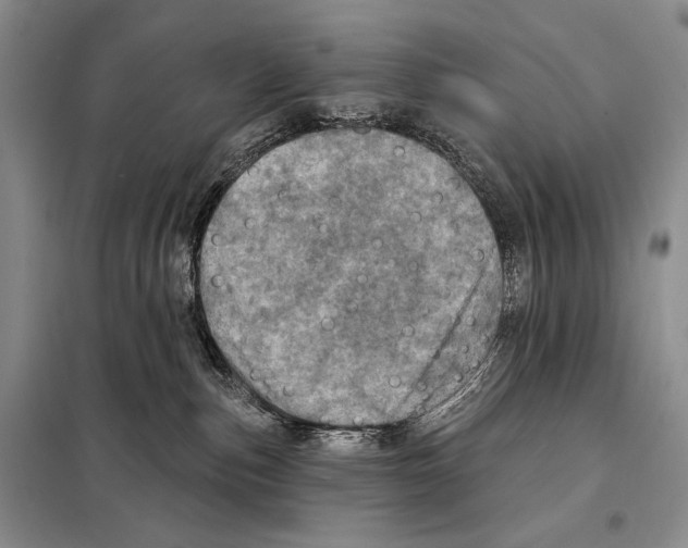 X0000098070187200805021006