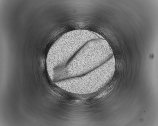 X0000098070188200805021006