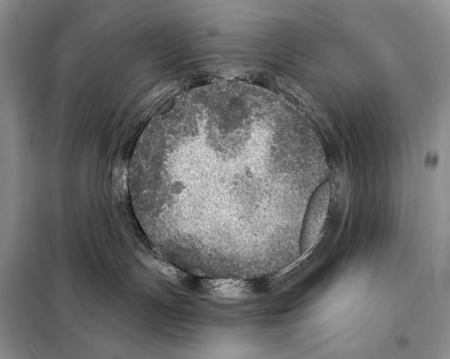 X0000098070191200805021006